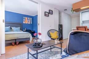 San Carlos rentals - Lastarria